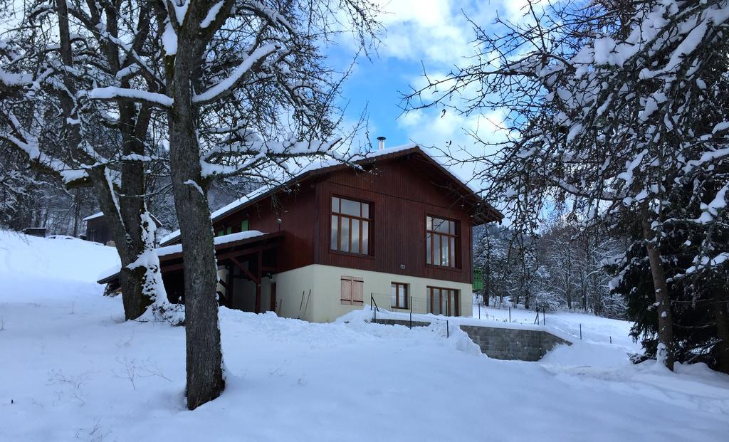 Le Green Chalet Villard-sur-Boege Exterior foto