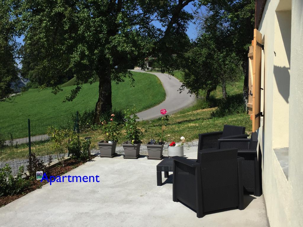 Le Green Chalet Villard-sur-Boege Exterior foto
