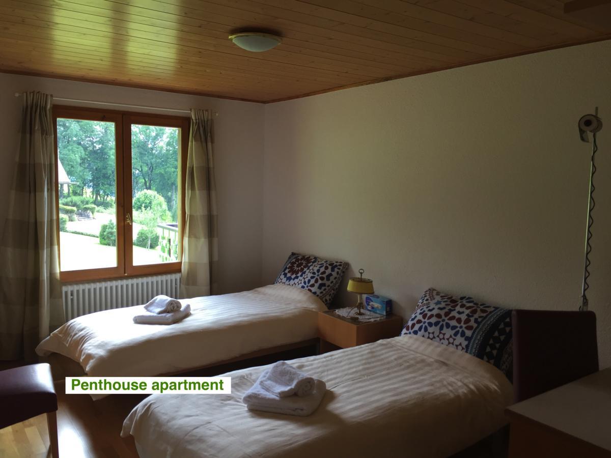 Le Green Chalet Villard-sur-Boege Exterior foto